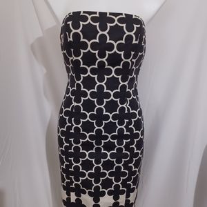 🔴 J. Crew Fitted Dress